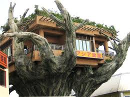 Lookout view in Okinawa